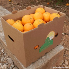 Orange Navelina's table (Box 15Kg)