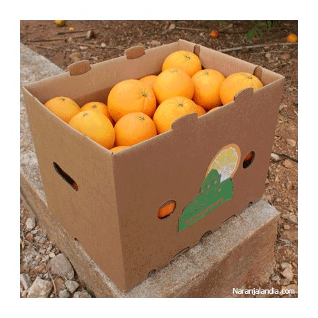 Naranja Navelina de mesa (Caja de 10Kg)