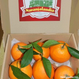 Navelina Especial para REGALO (Caja de 4Kg)